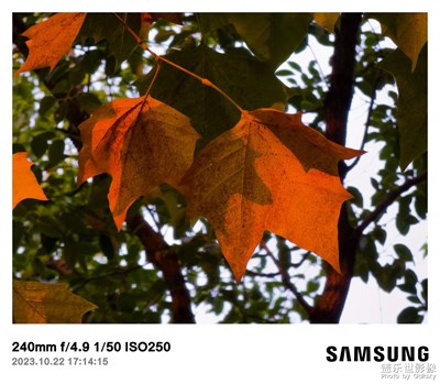 大學(xué)生活攝影養(yǎng)成??1??0??