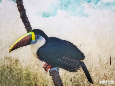 【與時光的對話】+隨手拍