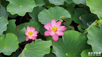 【與時(shí)光的對話】+ 回憶過往