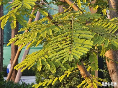 【與時光的對話】+夕陽