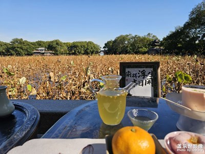 今日的曲院風(fēng)荷