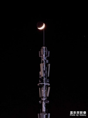 【與時(shí)光的對(duì)話】初冬隨拍