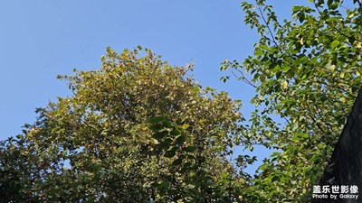 【與時(shí)光的對(duì)話】+再也回不去的時(shí)光