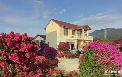 【我們的視界】花海