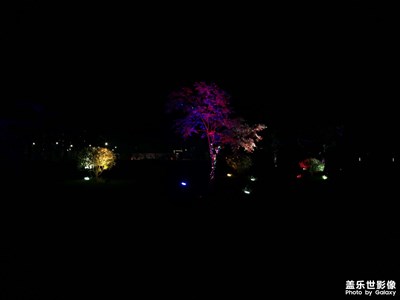 寒風瑟瑟的夜晚