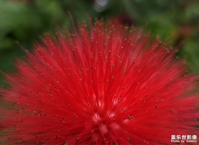 【我們的視界】朱纓花