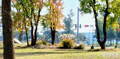 五彩斑斕的黑！