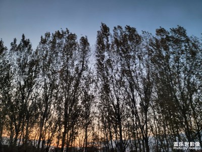 冬天的歸家之路