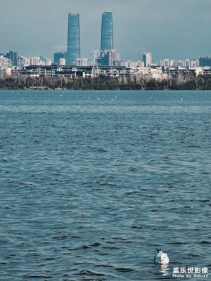 星攝-慢下來看世界