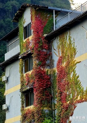 【我們的視界】隨手拍世界