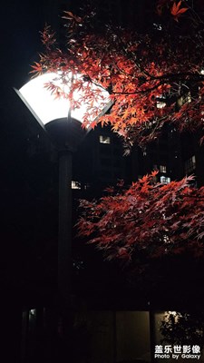 【與時(shí)光的對(duì)話】+記錄那些瞬間