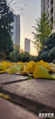 只是這一片不同！