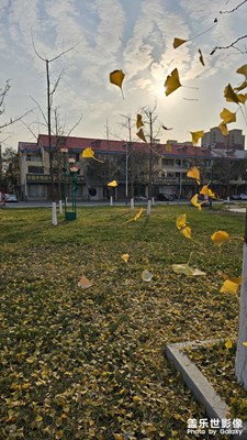 【我們的視界】+?冬日漫游