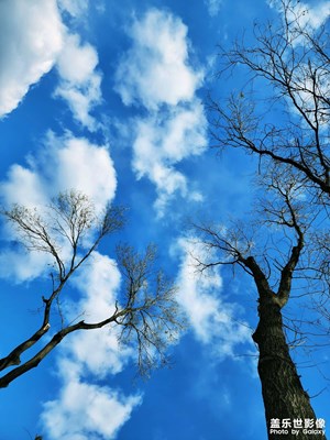 【我們的視界】+?藍(lán)天白云