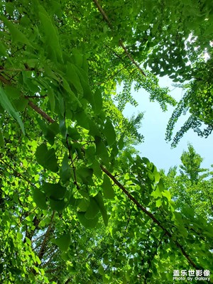 【我們的視界】+美好每一天