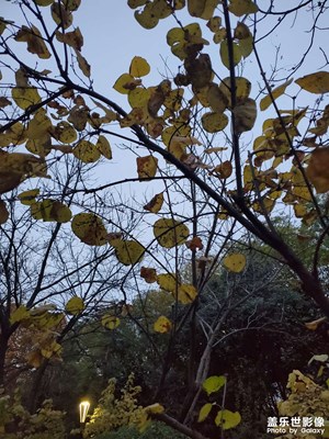 【我們的視界】黃昏