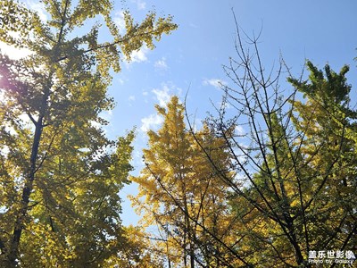 【我們的視界】+ 繽紛景色