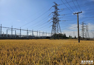 【我們的視界】+初冬的稻田