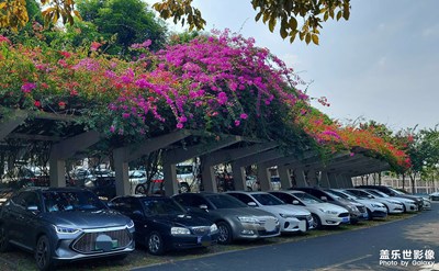 最美停車(chē)場(chǎng)