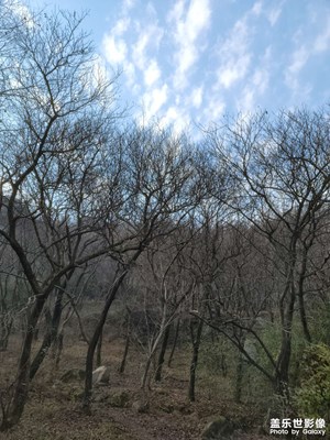 【淡寫時光】+ 徒步隨拍