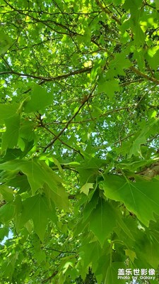 【淡寫時(shí)光】+ 一抹風(fēng)景線