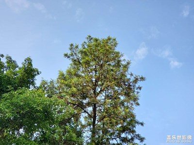 【淡寫時光】+ 時光慢慢走