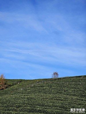 中午?龍塢?杭州