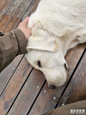 【快樂隨拍】享受美好生活