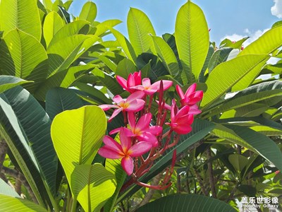 【難忘2023】2023