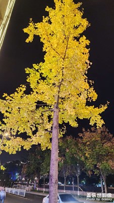 【難忘2023】

又是一年