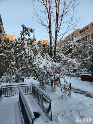 【難忘2023】今冬第一場大雪