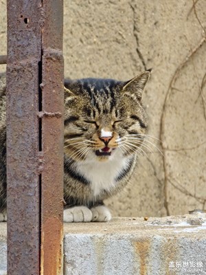 【難忘2023】開心與挑戰(zhàn)并存的一年