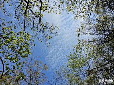 【難忘2023】+點(diǎn)滴生活