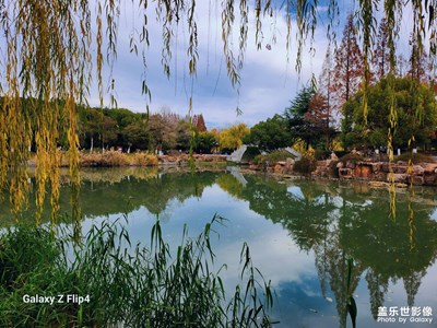 新手上路，請多指教