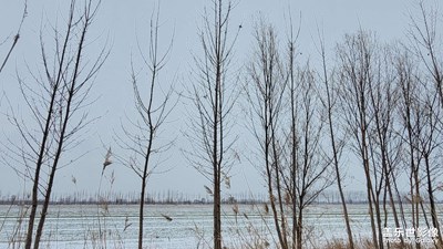 【難忘2023】+寒冬飄雪