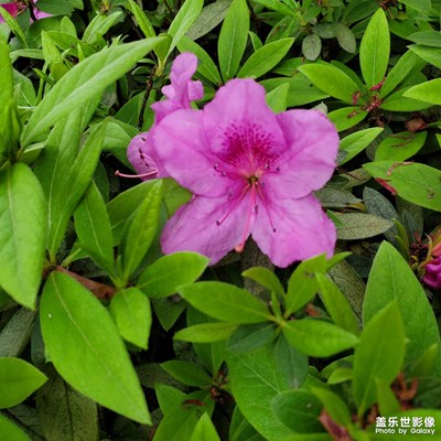 【快樂(lè)隨拍】+ 精彩每一天