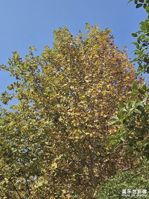 【快樂隨拍】+風(fēng)景隨拍