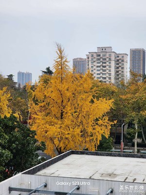 時間轉(zhuǎn)瞬即逝，能留下時間的只有影像