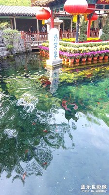 【隨處風(fēng)景】+ 趵突泉的回憶