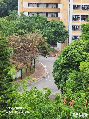 【隨處風(fēng)景】大學(xué)校園