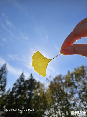 【難忘2023】旅途的風景