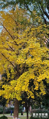 【隨處風(fēng)景】+ 遇見Z時(shí)代