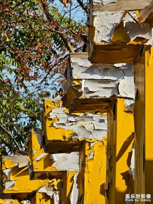 【隨處風(fēng)景】冬日暖陽