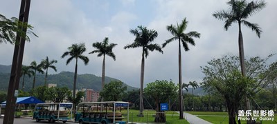 【難忘2023】+校園隨拍