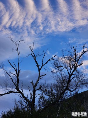 【難忘2023】似水流年