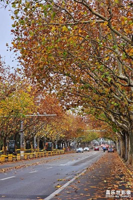 【隨處風(fēng)景】+ 冬雨