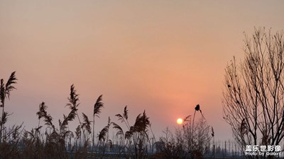 【難忘2023】+傍晚時光