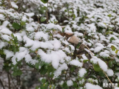 【隨處風景】+ 西安的第一場雪