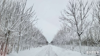 【難忘2023】+雪景
