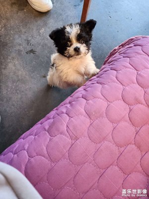 【隨處風(fēng)景】日常